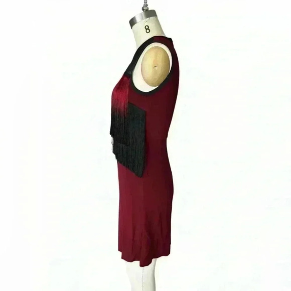 Sandro Fringe Trim Cocktail Dress, Size  S - Picture 3 of 6